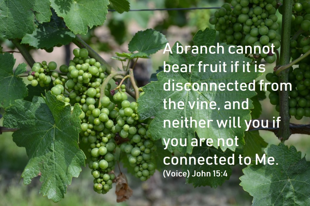 When the Fruit&nbsp;Fails