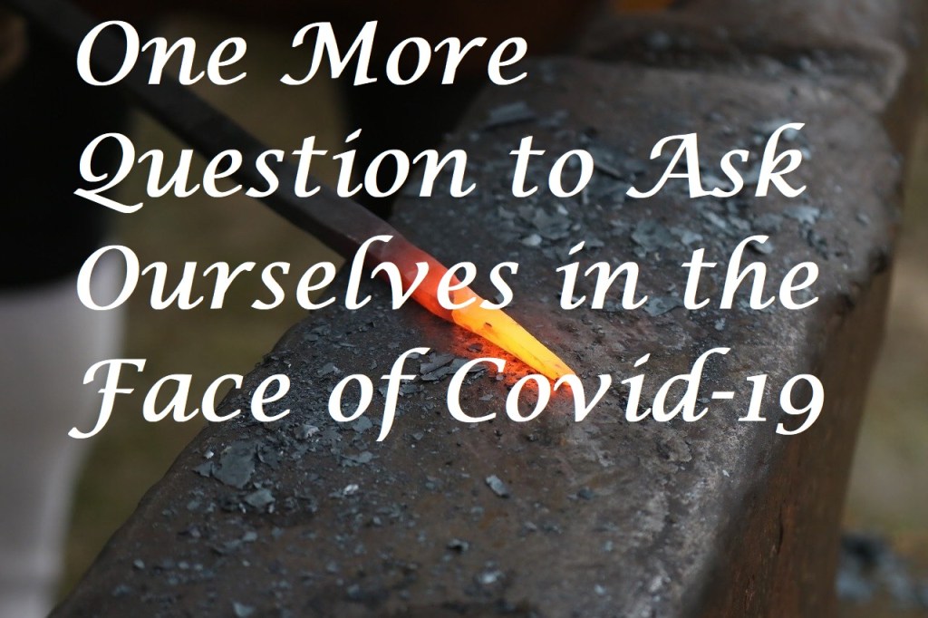 One More Question To Ask Ourselves in the Face of&nbsp;Covid-19