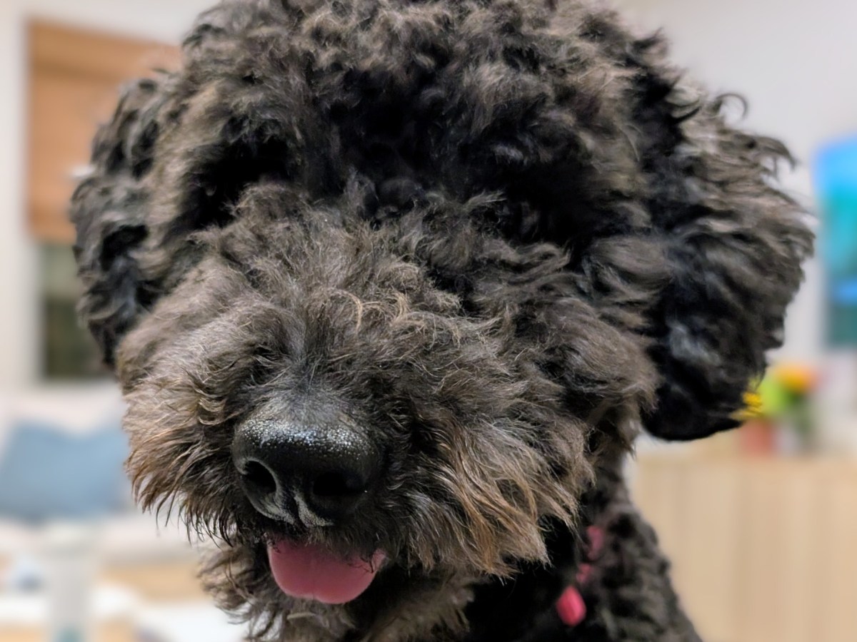 Spiritual Lessons from&nbsp;Olive