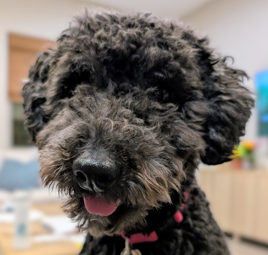 Spiritual Lessons from&nbsp;Olive